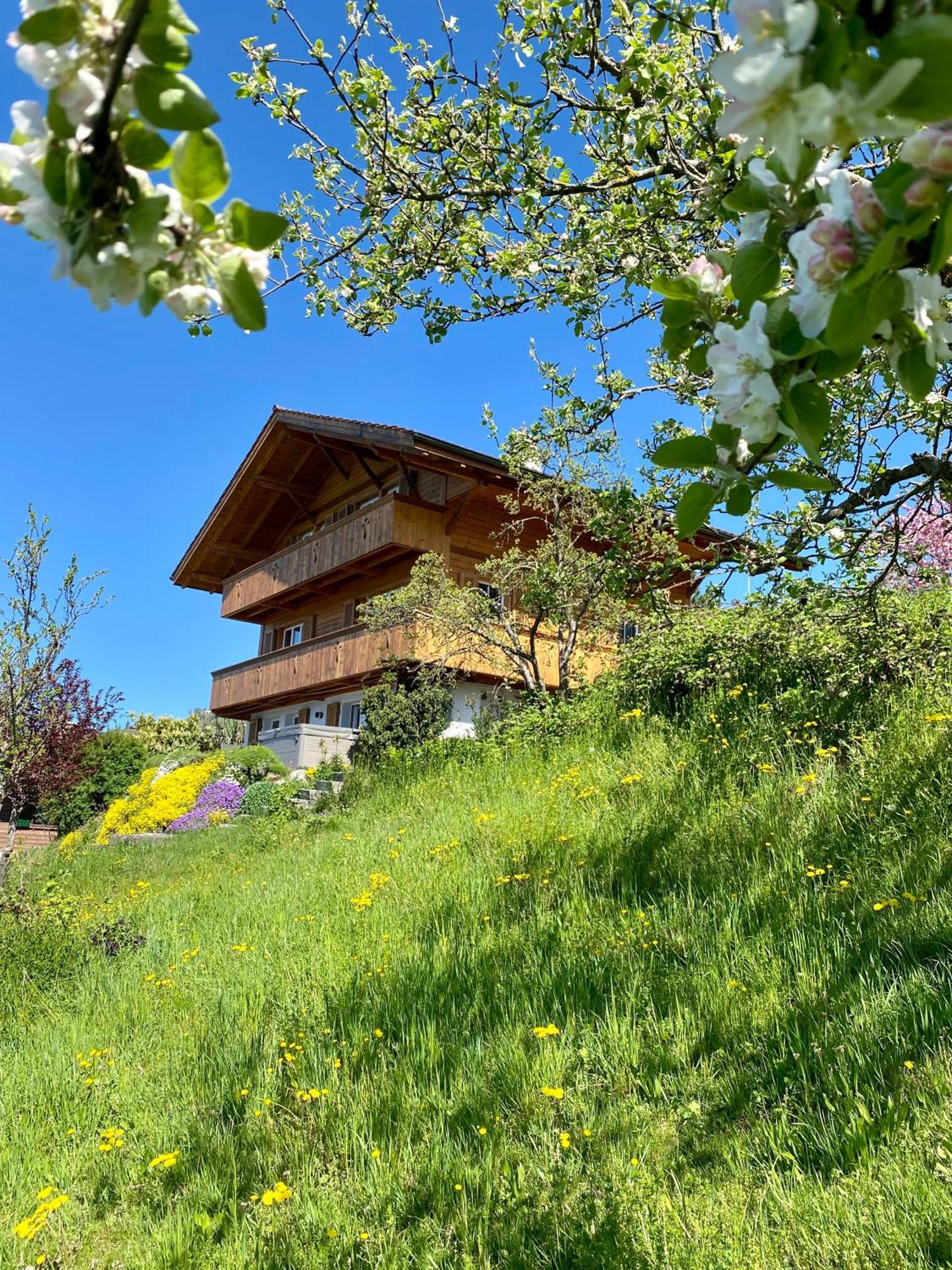 Chalet Egglen "Typical Swiss House, Best Views, Private Jacuzzi" Sigriswil Dış mekan fotoğraf