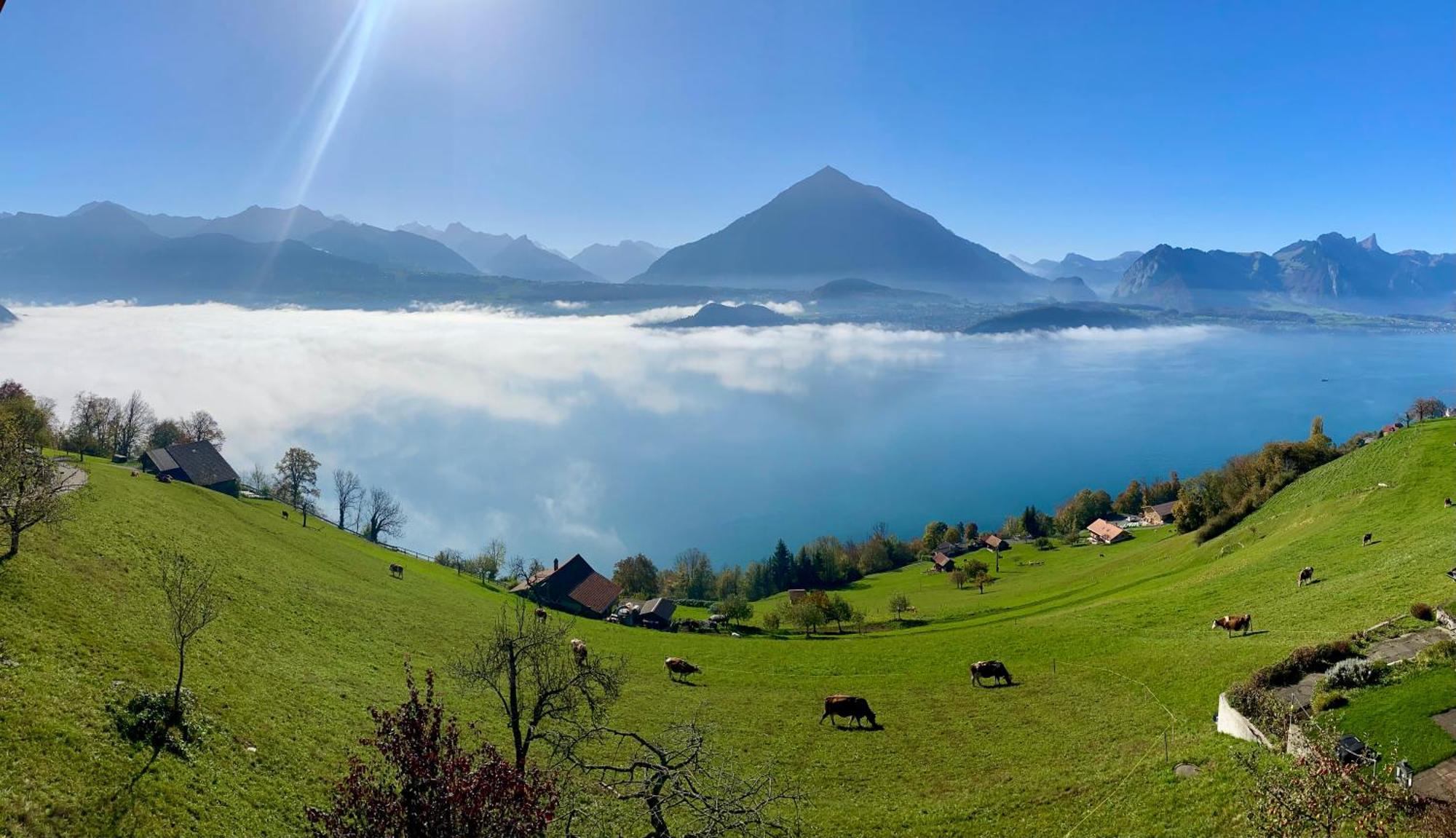 Chalet Egglen "Typical Swiss House, Best Views, Private Jacuzzi" Sigriswil Dış mekan fotoğraf
