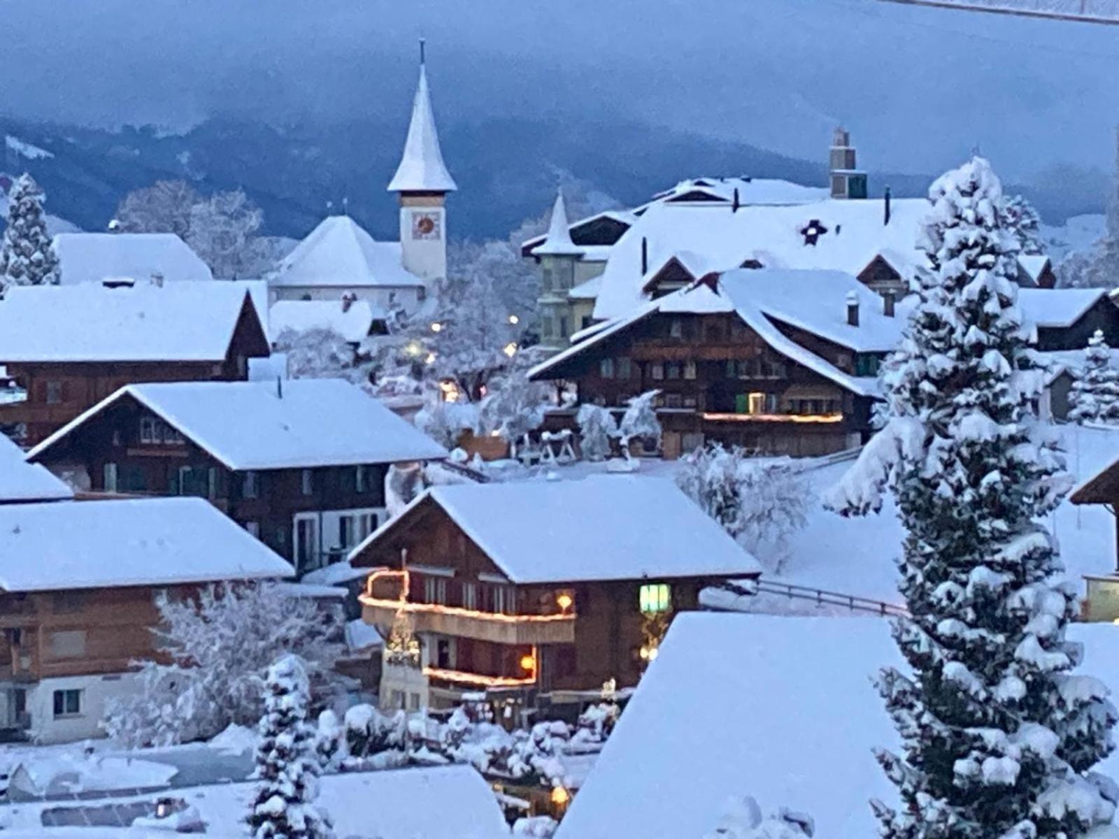 Chalet Egglen "Typical Swiss House, Best Views, Private Jacuzzi" Sigriswil Dış mekan fotoğraf