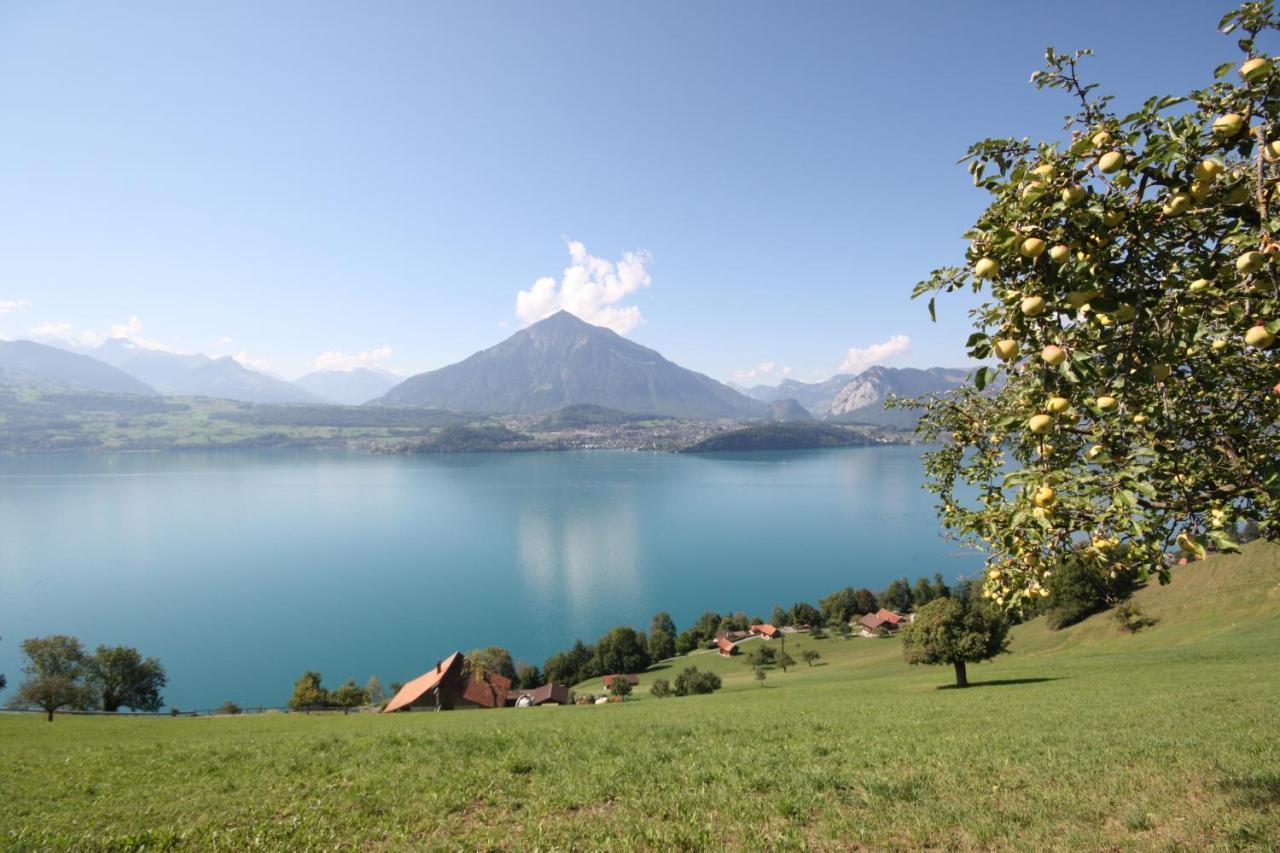 Chalet Egglen "Typical Swiss House, Best Views, Private Jacuzzi" Sigriswil Dış mekan fotoğraf