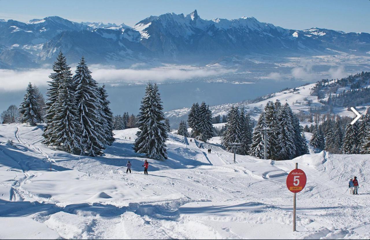Chalet Egglen "Typical Swiss House, Best Views, Private Jacuzzi" Sigriswil Dış mekan fotoğraf