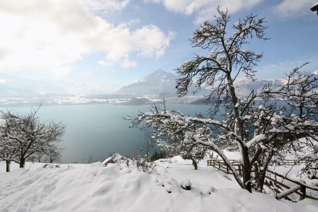 Chalet Egglen "Typical Swiss House, Best Views, Private Jacuzzi" Sigriswil Dış mekan fotoğraf