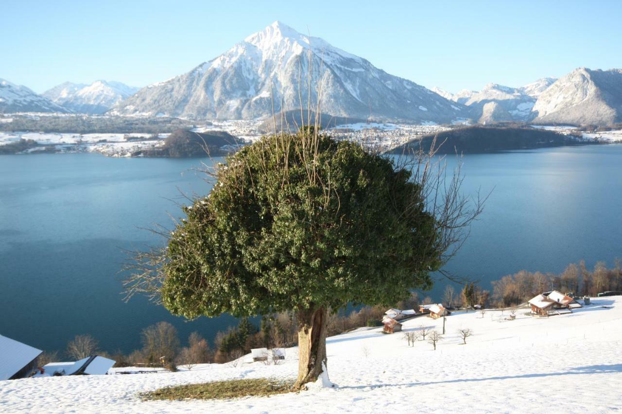 Chalet Egglen "Typical Swiss House, Best Views, Private Jacuzzi" Sigriswil Dış mekan fotoğraf